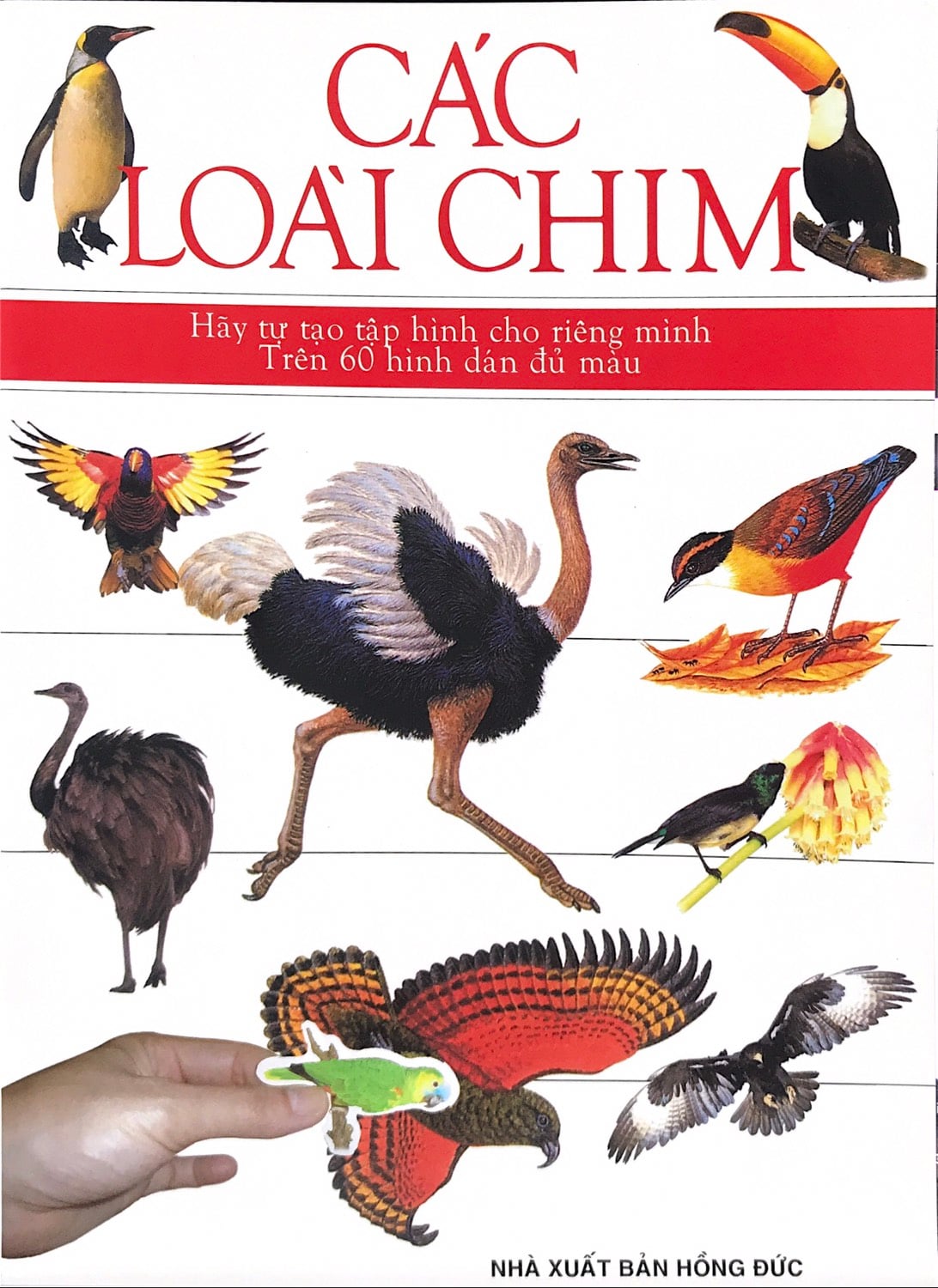 Em tập dán hình - Các loài chim